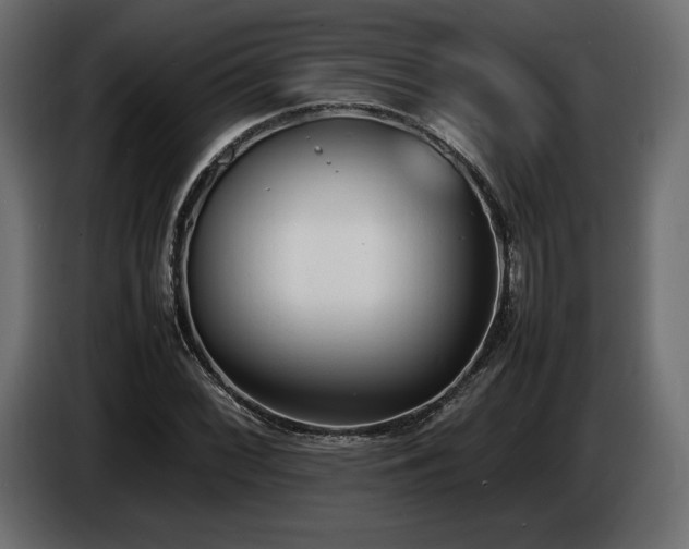 X0000086721068200704131039
