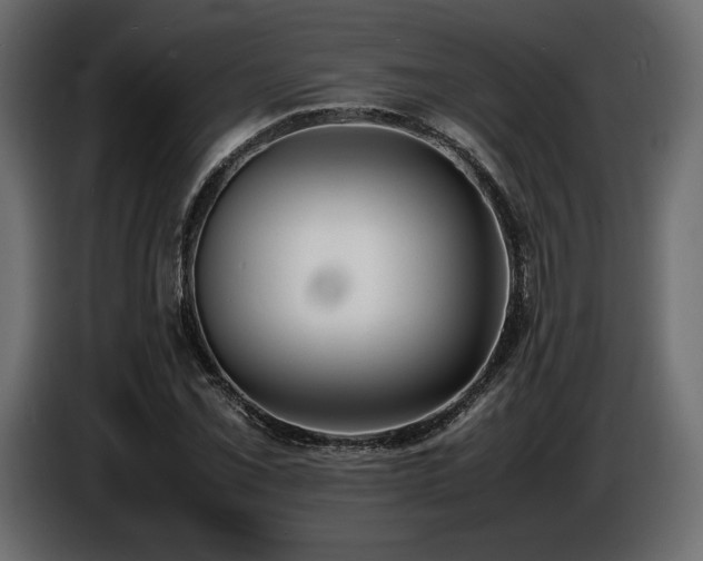 X0000086721069200704131039