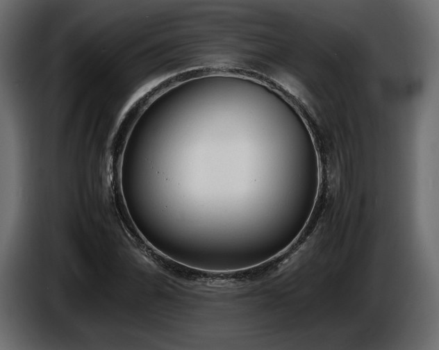 X0000086721070200704131039