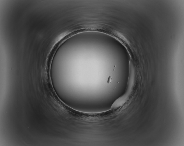 X0000086721071200704131039