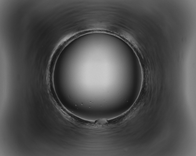 X0000086721072200704131038