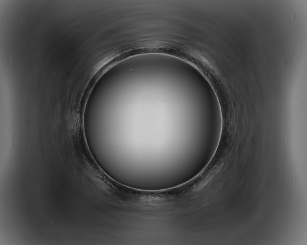 X0000086721073200704131038