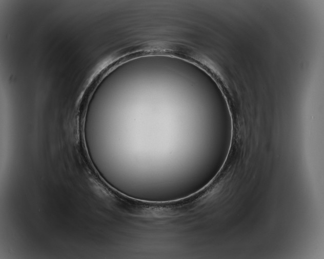 X0000086721075200704131038