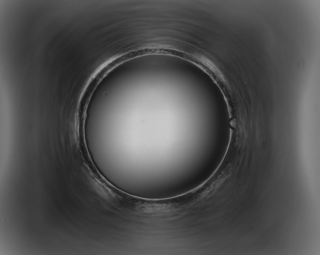 X0000086721076200704131038