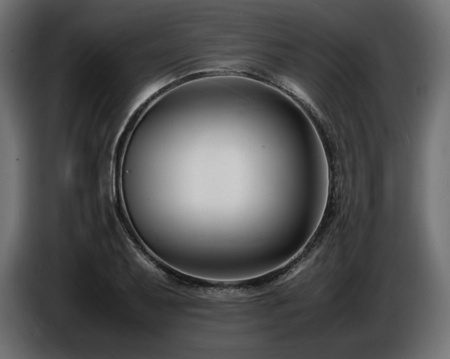 X0000086721079200704131038