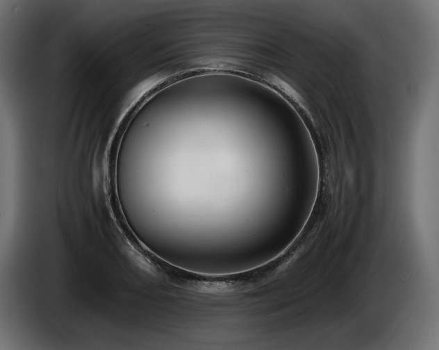 X0000086721082200704131038