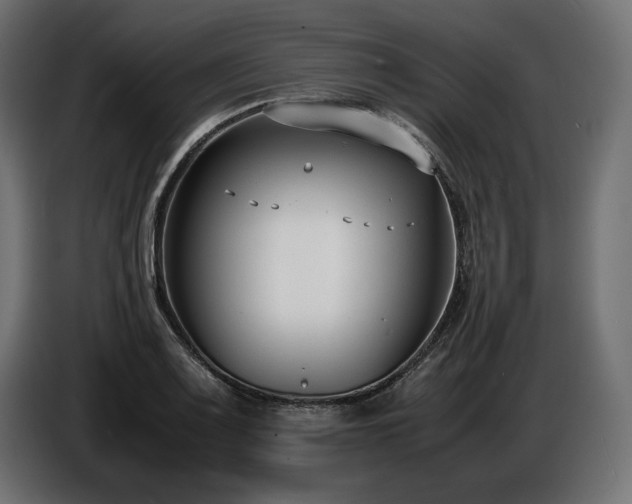 X0000086721083200704131038
