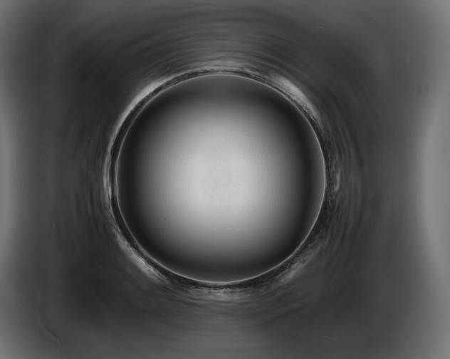 X0000086721084200704131038
