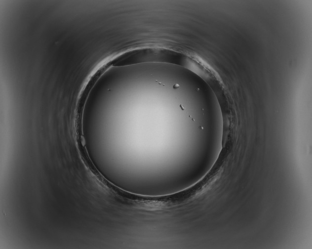 X0000086721085200704131038