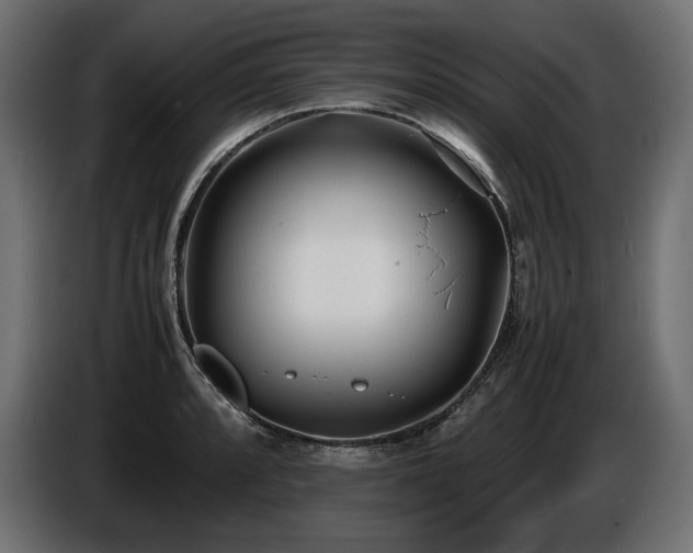 X0000086721088200704131038