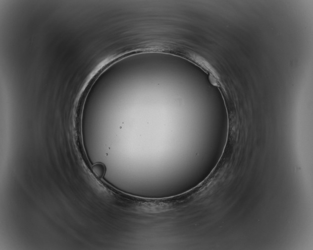 X0000086721091200704131038