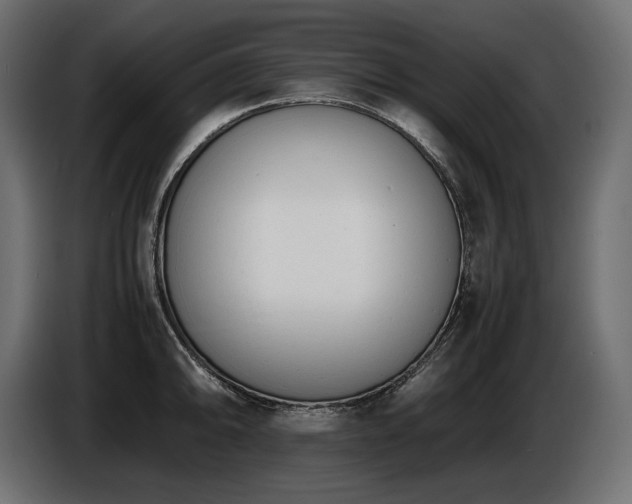 X0000086721094200704131038