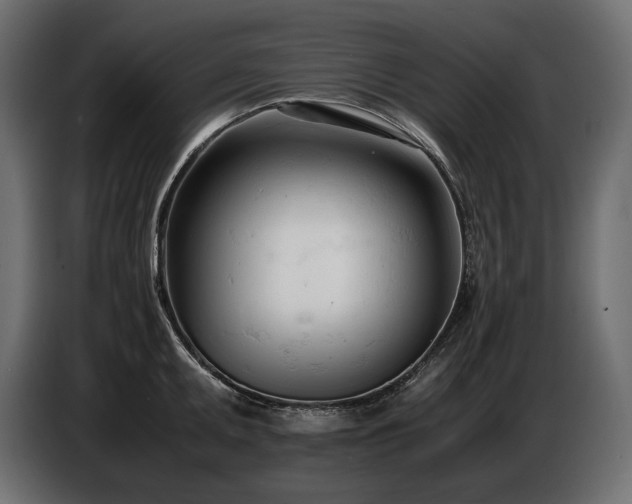 X0000086721095200704131038