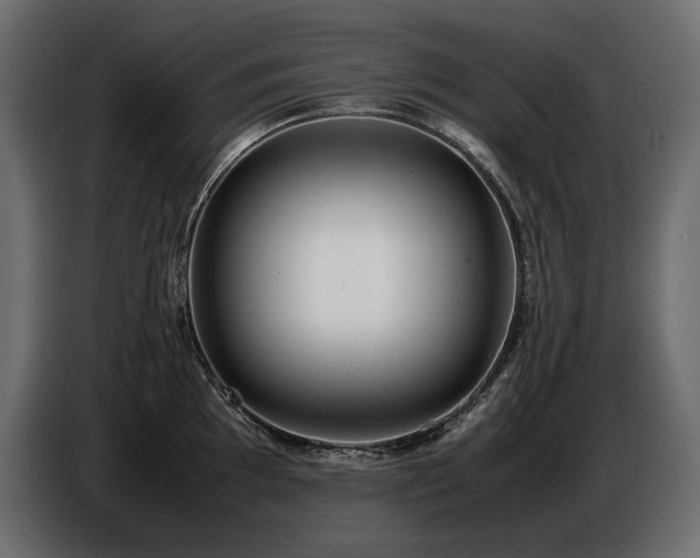 X0000086721097200704131038