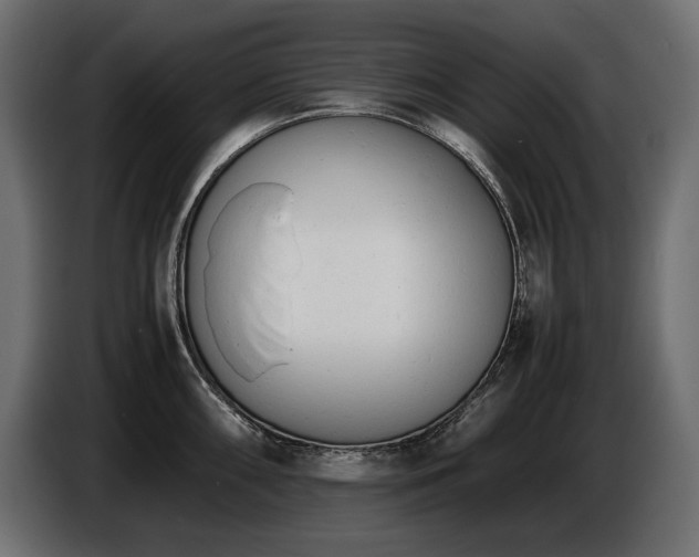 X0000086721098200704131038