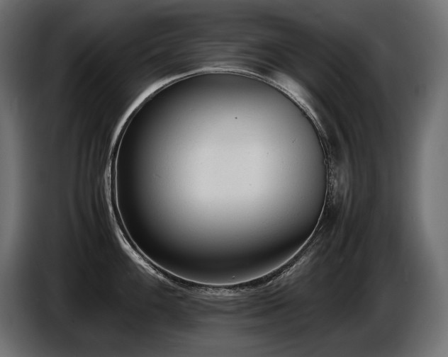 X0000086721100200704131038