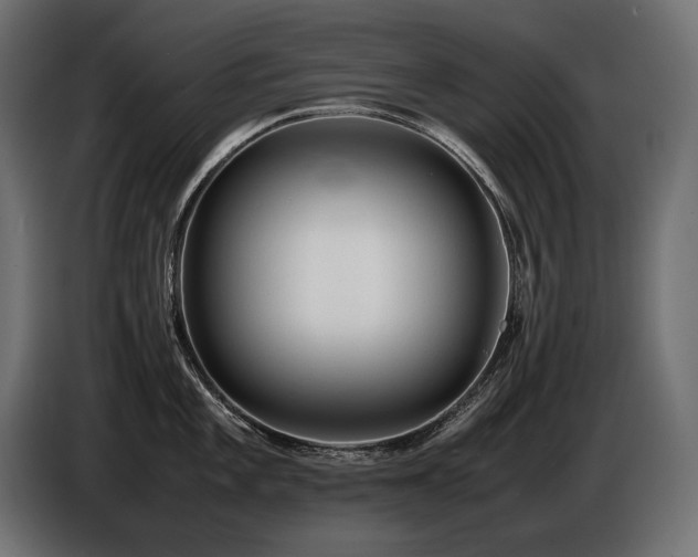 X0000086721101200704131038