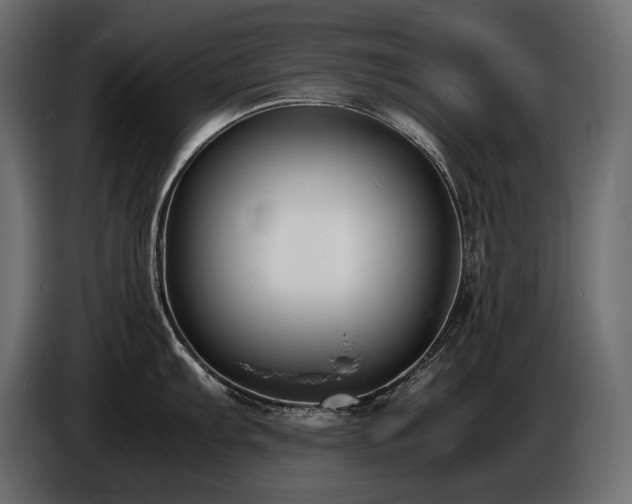 X0000086721103200704131038