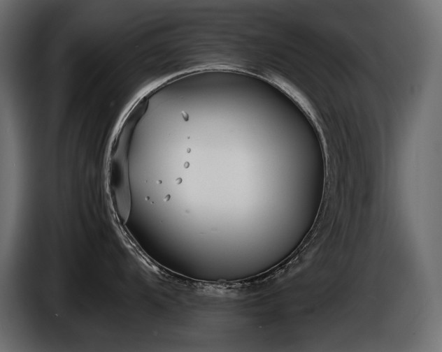 X0000086721104200704131038