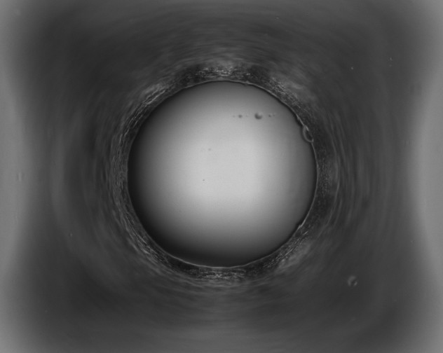 X0000086721105200704131037