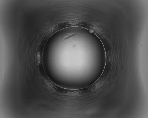 X0000086721106200704131037