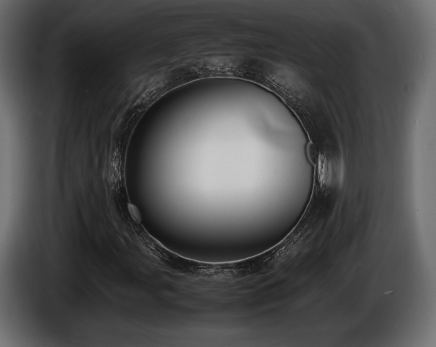 X0000086721107200704131037