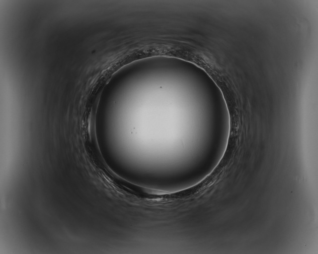 X0000086721109200704131037