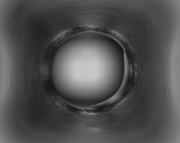 X0000086721110200704131037