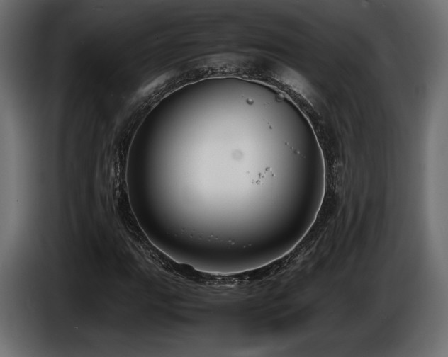 X0000086721111200704131037