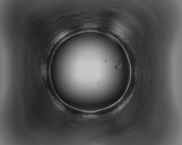 X0000086721113200704131037