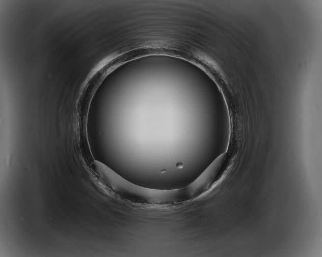X0000086721114200704131037