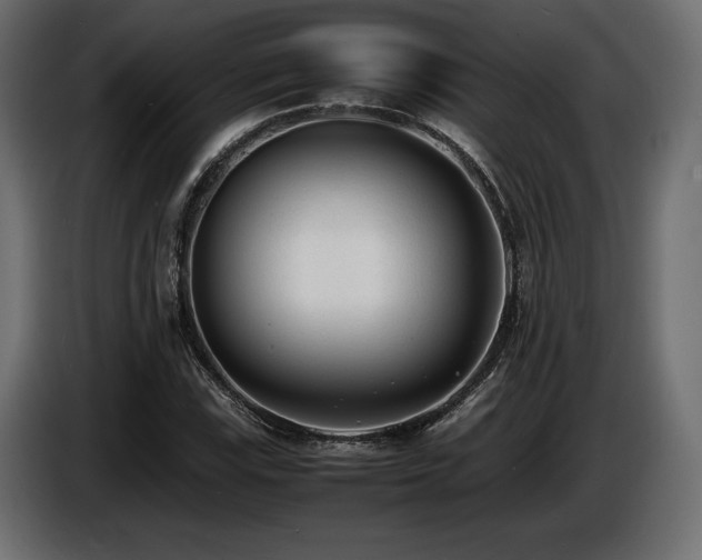 X0000086721115200704131037