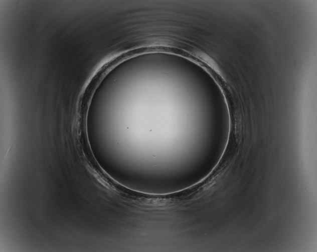 X0000086721116200704131037