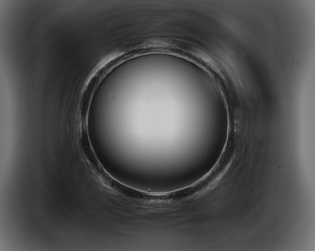 X0000086721117200704131038