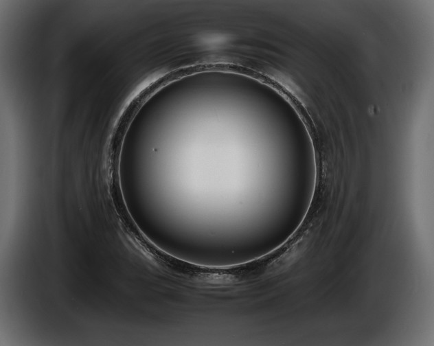 X0000086721119200704131038