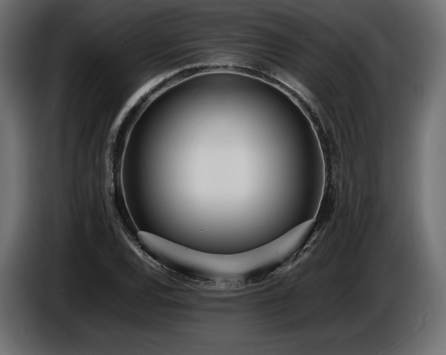X0000086721120200704131038