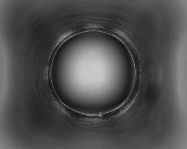 X0000086721121200704131038