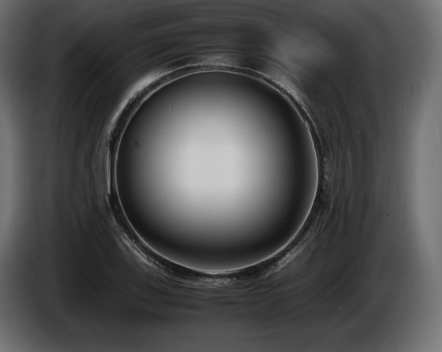 X0000086721123200704131038