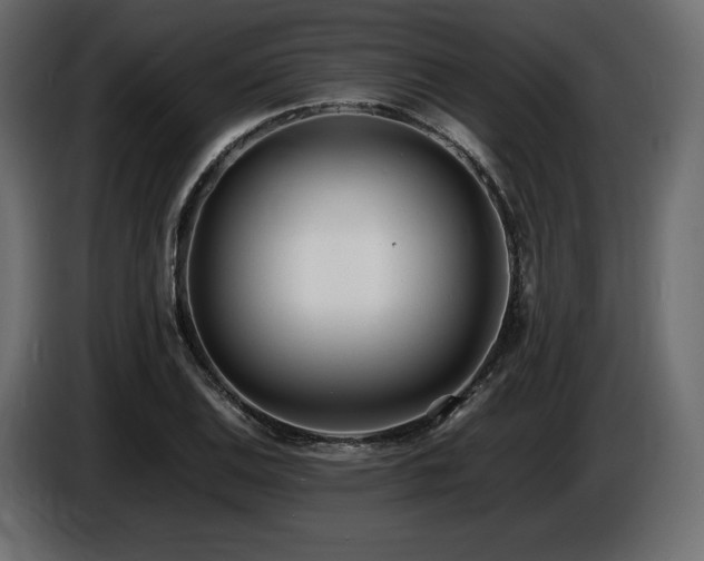 X0000086721124200704131038