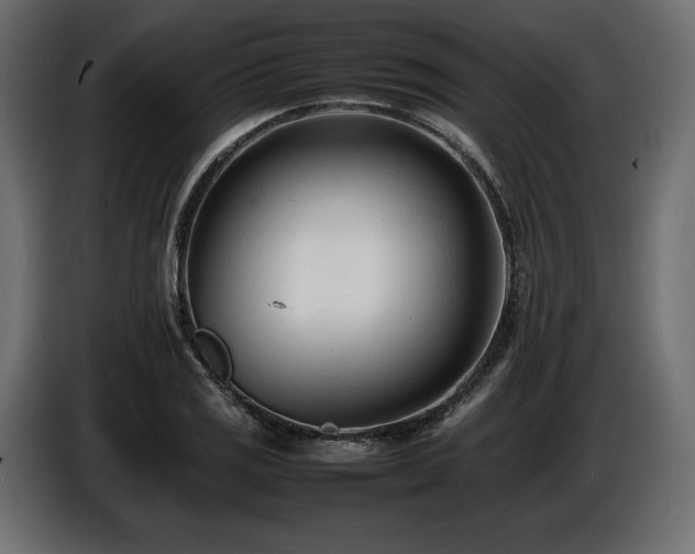 X0000086721125200704131038