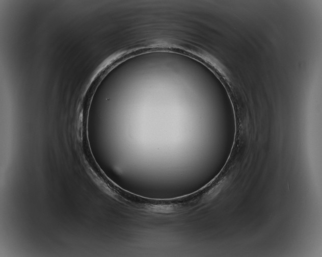 X0000086721126200704131038