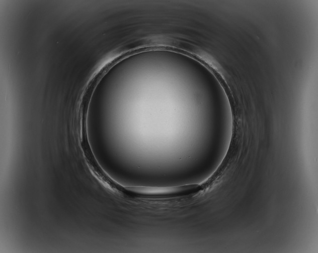X0000086721127200704131038