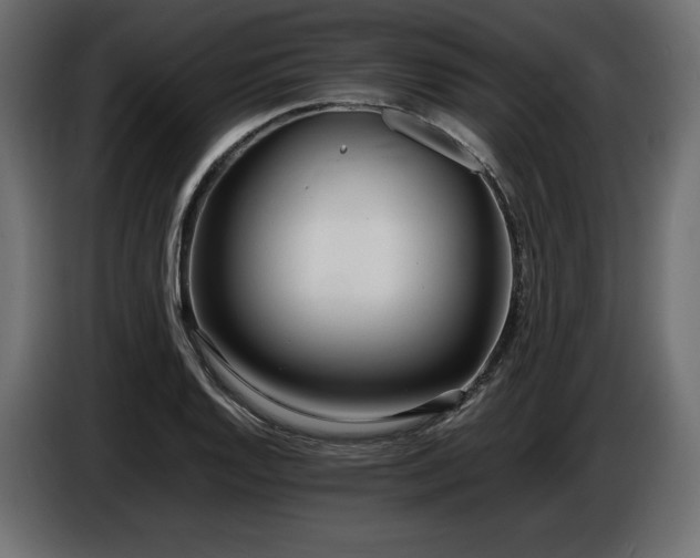 X0000086721128200704131038