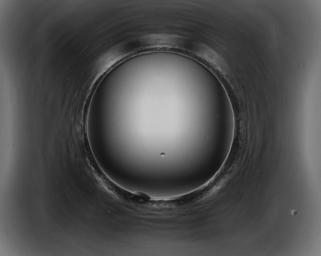 X0000086721129200704131038
