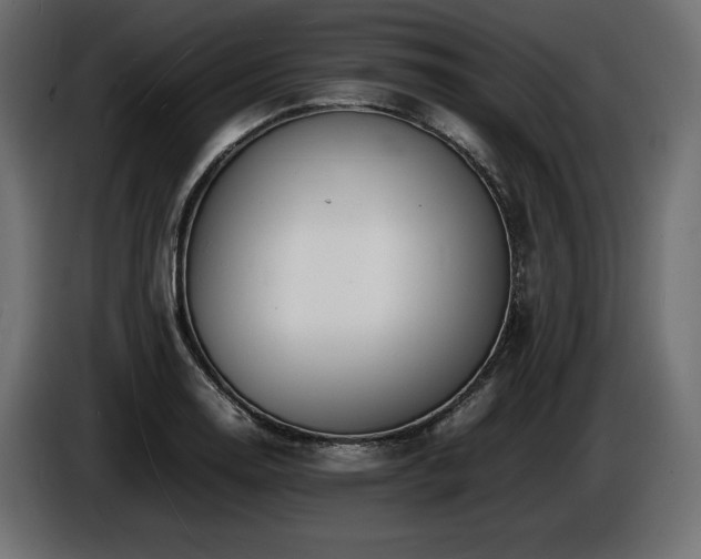 X0000086721130200704131038
