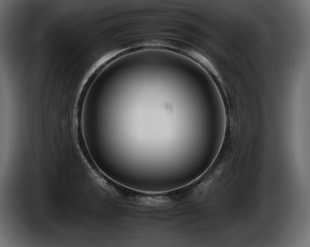X0000086721133200704131038