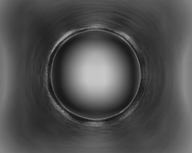 X0000086721134200704131038