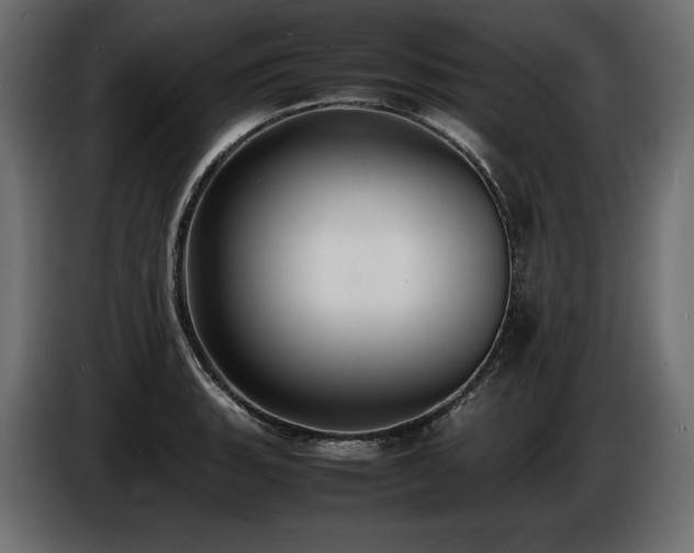 X0000086721135200704131038
