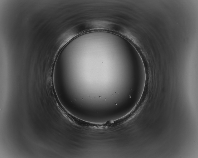 X0000086721137200704131038