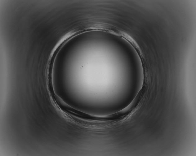 X0000086721138200704131038